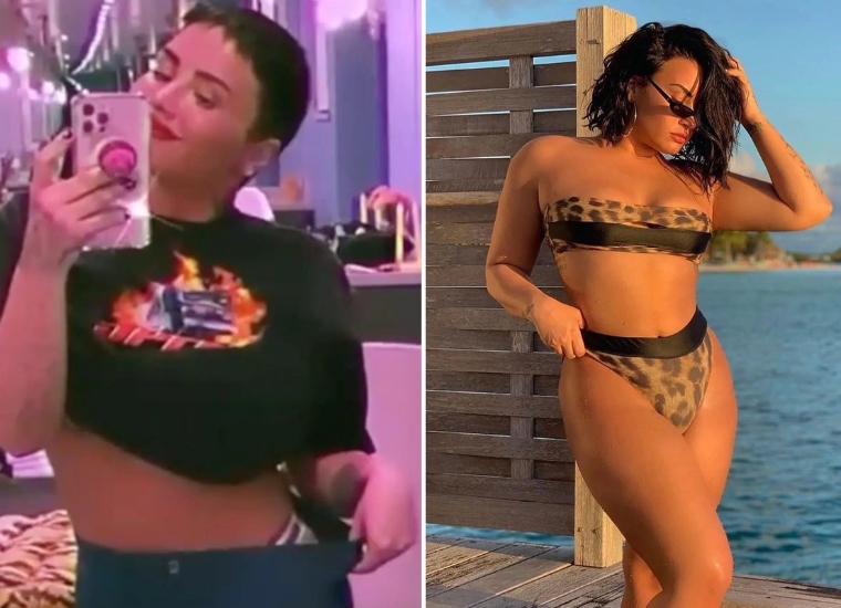 Demi Lovato Weight Loss 2024