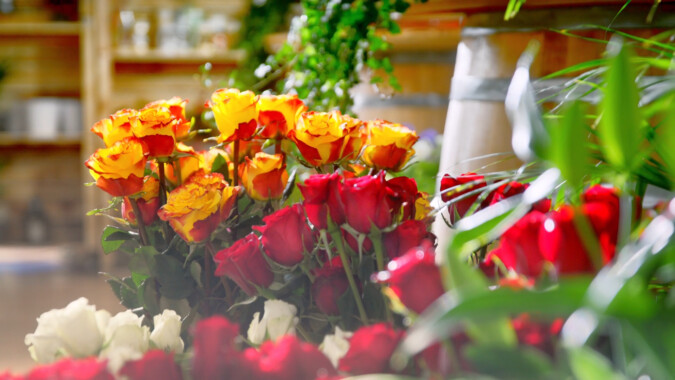 choose right color of roses
