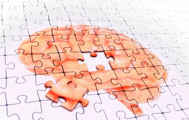 brain games